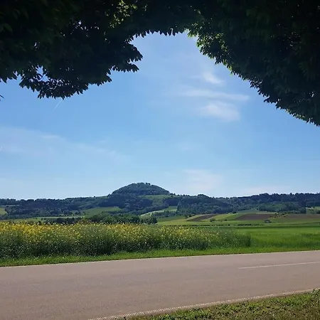 Ferienwohnung 公寓 洛尔希